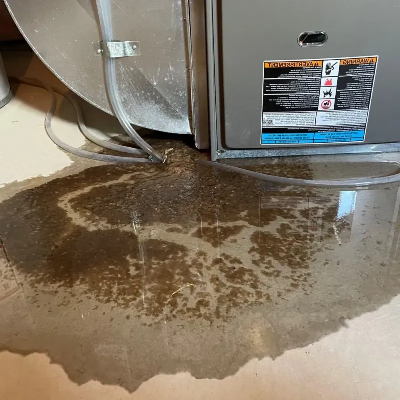 Pipe Burst and Leak Restoration in Cannon County, TN