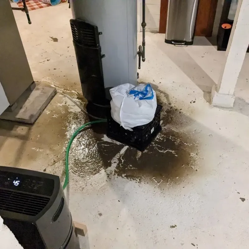 Sewage Backup Cleanup Service in Cannon County, TN